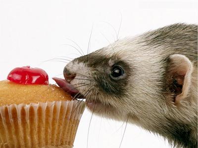 Solo esta la almohada!!